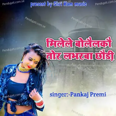 Mille Bolailkou Tor Labharba Chhauri - Pankaj Premi album cover 