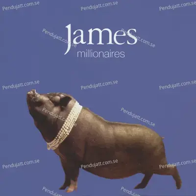 Millionaires - James cover album