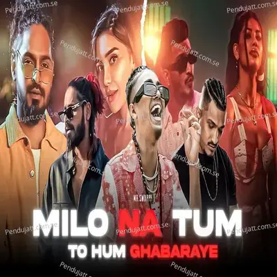 Milo Na Tum To Hum Ghabaraye - MC STAN album cover 