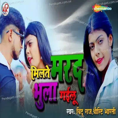 Milte Marad Bhula Gailu - Bittu Raj album cover 