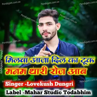 Milva Aaja Dil Ka Took Manam Thari Roj Aave Chh - Lovekush Dungri album cover 
