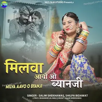 Milva Aavo O Byanji - Salim Shekhawas album cover 