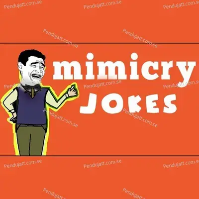 Mimicry Jokes - Ansar cover album