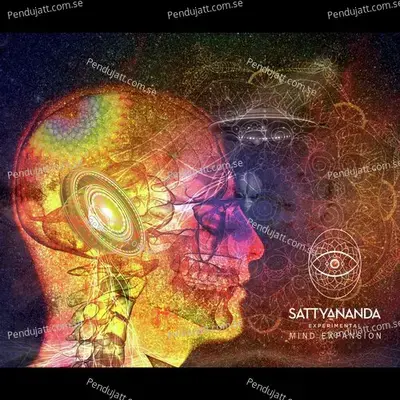 Rhythmic Flight - Sattyananda album cover 