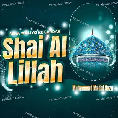 Mira Waliyo Ke Sardar Shaial Lillah - Muhammad Madni Raza album cover 