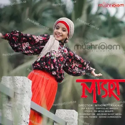 Misri - Azin Vellila album cover 