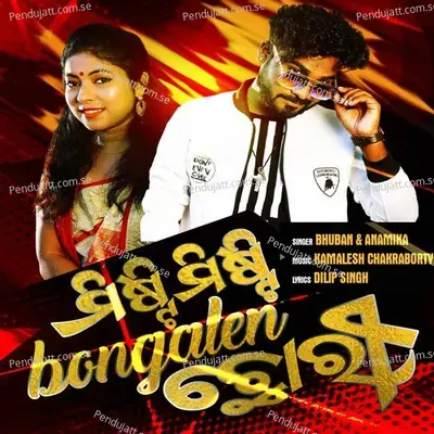 Misti Misti Bangalen Chhori - Bhuban album cover 