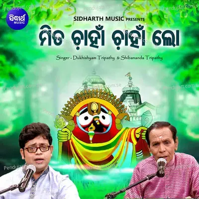 Mita Chanha Chanha Lo - Dukhishyam Tripathy album cover 