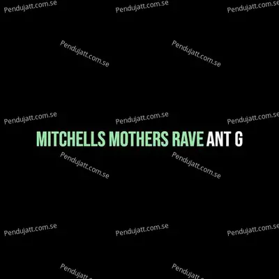 Mitchells Mothers Rave - Ant G album cover 