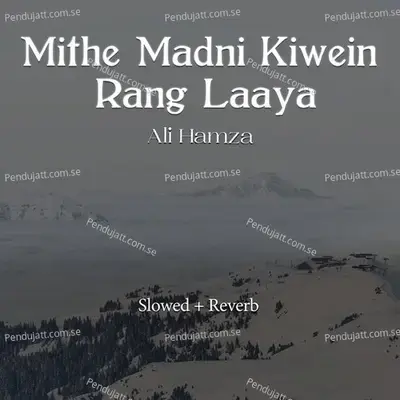 Mithe Madni Kiwein Rang Laaya Lofi - Ali Hamza album cover 
