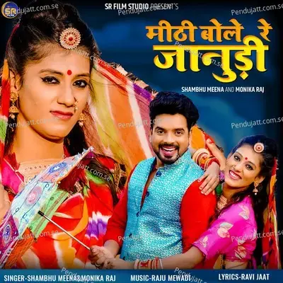 Mithi Bole Re Janudi - Shambhu Meena album cover 