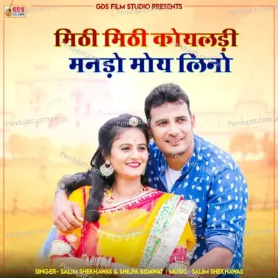 Mithi Mithi Koyaldi Mando Moy Lino - Salim Shekhawas album cover 