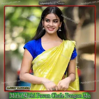 Mithi Mithi Pavan Chale Baagan Me - Ajeet Katara album cover 