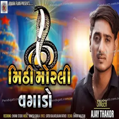 Mithi Morli Vagado - Ajay Thakor album cover 