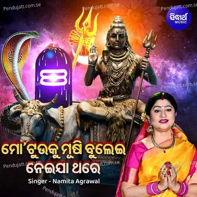 Mo Tuuku Mushi Bulei Neija Thare - Namita Agrawal album cover 