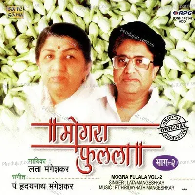 Aanandi Anand Gade - Lata Mangeshkar album cover 