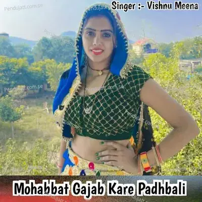 Mohabbat Gajab Kare Padhbali - Vishnu Meena album cover 