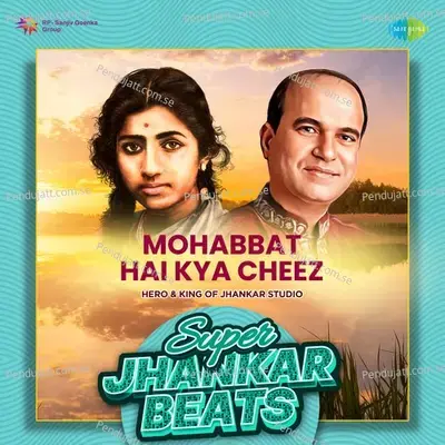 Mohabbat Hai Kya Cheez - Super Jhankar Beats - Hero And king Of Jhankar Studio album cover 