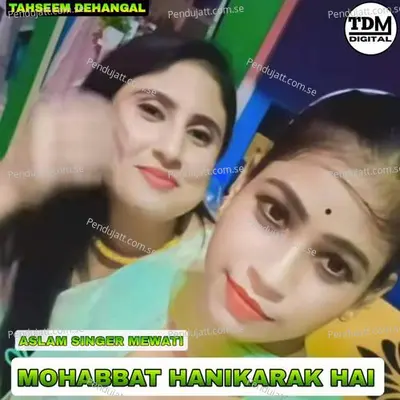 Mohabbat Hanikarak Hai - Tahseem Dehangal album cover 