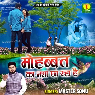 Kar Le Khidmat Maa Baap Ki - Master Sonu album cover 