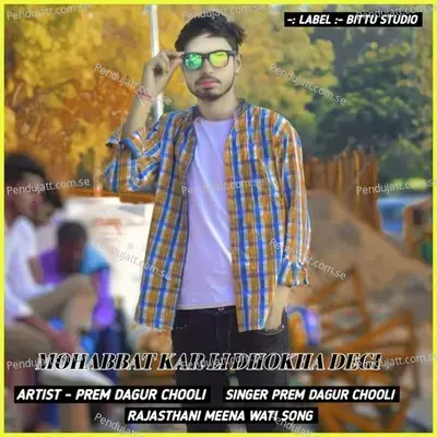 Mohabbat Kar Li Dhokha Degi - PREM DAGUR CHOOLI album cover 