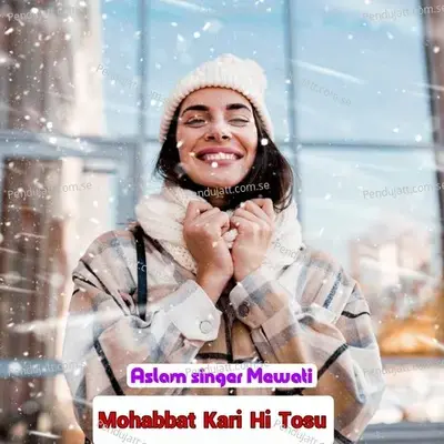 Mohabbat Kari Hi Tosu - Aslam Singer Mewati album cover 