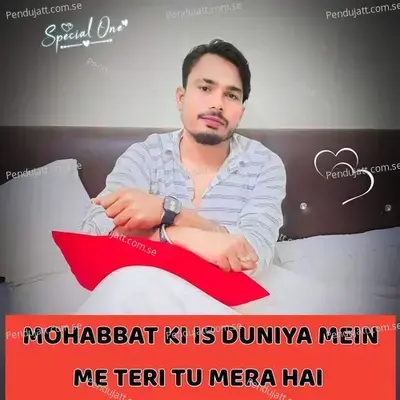 Mohabbat Ki Is Duniya Mein Me Teri Tu Mera Hai - Lovekush Dungri album cover 