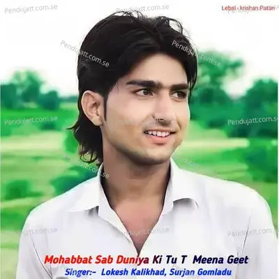 Mohabbat Sab Duniya Ki Tu T Meena Geet - Lokesh Kalikhad album cover 