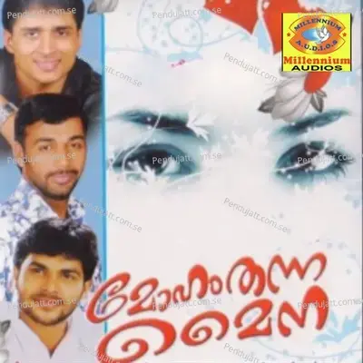 Sundhariyam Penne - Saleem Kodathoor album cover 