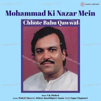 Ye Ek Insanki Aur Sanp Ki - Chhote Babu Qawwal album cover 