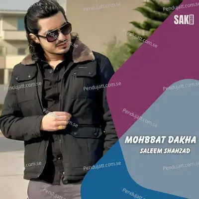 Mohbbat Dakha - Saleem Shahzad cover album