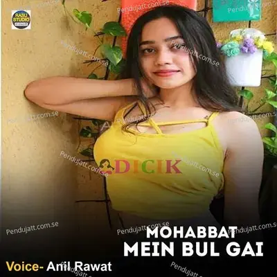 Mohbbat Mein Bul Gai - Anil Rawat album cover 