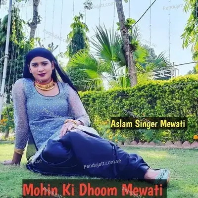 Mohin Ki Dhoom Mewati - Aslam Singer Mewati