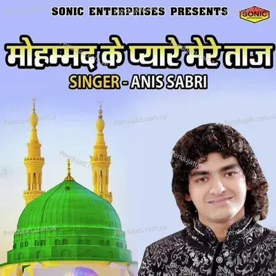 Mohmmad Ke Pyare Mere Taaz - Rais Anis Sabri album cover 