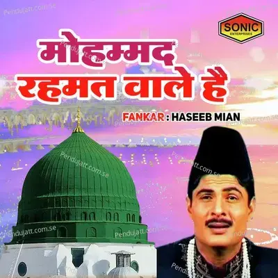 Mohmmad Rehmat Wale Hai - Haseeb Mian album cover 