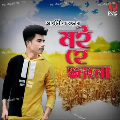 Moi Hai Janu - Aryaneel Borah album cover 