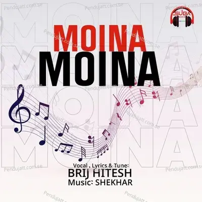 Moina Moina Returns - Brij Hitesh album cover 