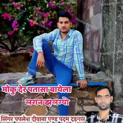 Moku Der Tapasa Bayela Lagan Jhulagyo - Padam  Dadgas album cover 