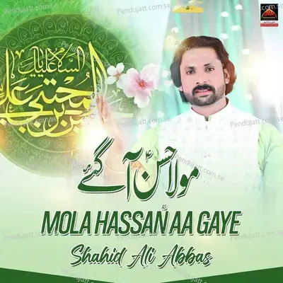 Mola Hassan Aagaye - Shahid Ali Abbas album cover 