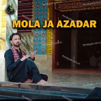 Mola Ja Azadar - Shahid Ali Rizvi Panjtani album cover 