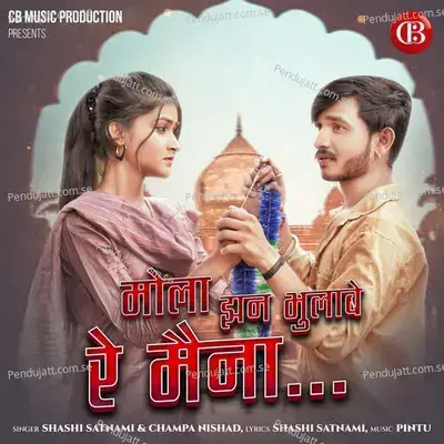 Mola Jhan Bhulabe Re Maina - Shashi Satnami album cover 