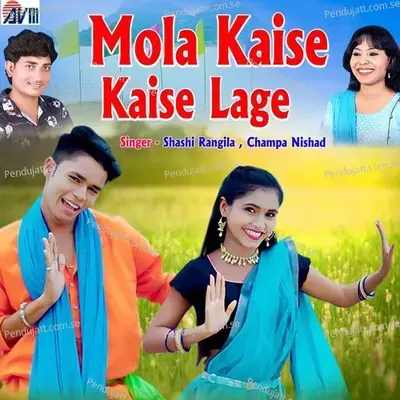 Mola Kaise Kaise Lage - Champa Nishad album cover 