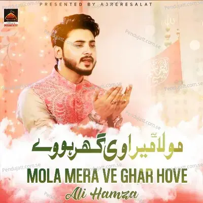 Chal Chaliye Dar Sakhi Shahbaz Qalandar - Ali Hamza album cover 