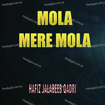 Mola Mere Mola - Hafiz Jalabeeb Qadri album cover 