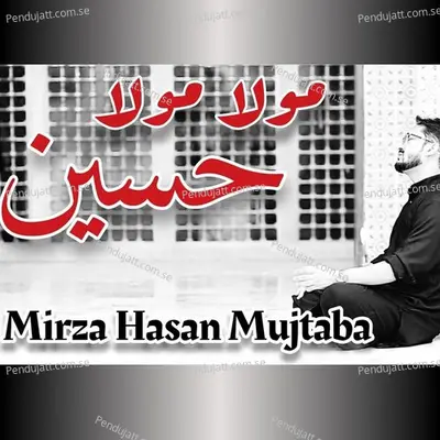 Mola Mola Hussain - Mirza Hasan Mujtaba album cover 