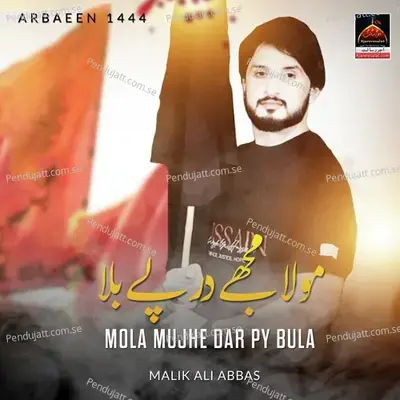 Mola Mujhe Dar Pe Bula - Malik Ali Abbas album cover 