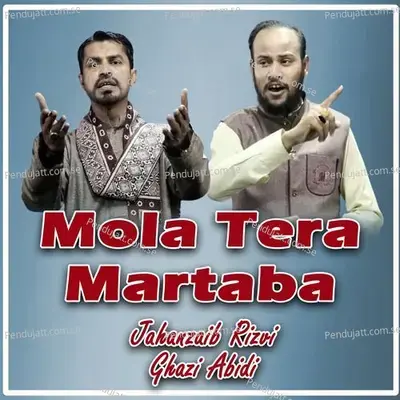 Mola Tera Martaba - Jahanzaib Rizvi album cover 