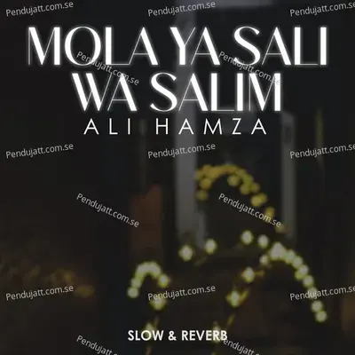 Mola Ya Sali Wa Salim Lofi - Ali Hamza album cover 