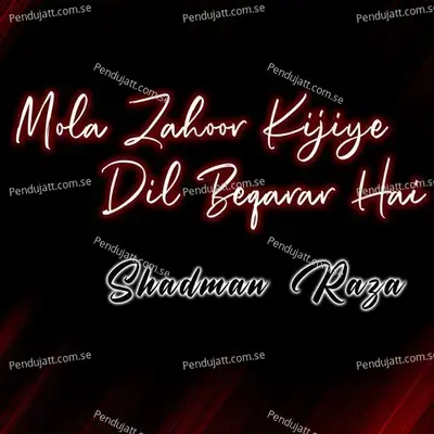 Kaho Ya Ali Madad - Shadman Raza album cover 