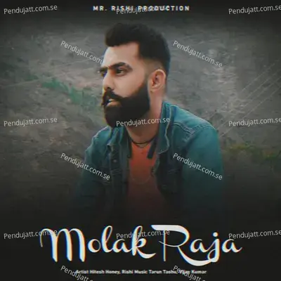 Molak Raja - Hitesh Honey album cover 